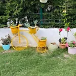 19 Çeşme