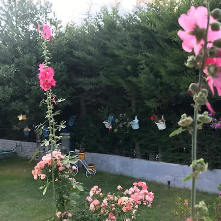 19 Apart מלון Çeşme