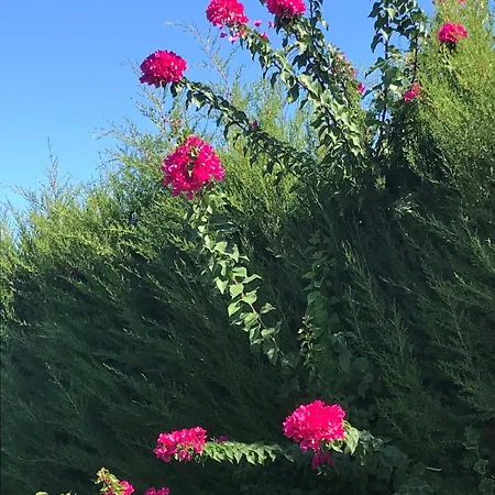 19 Apart فندق Çeşme